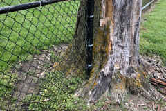 image-43
