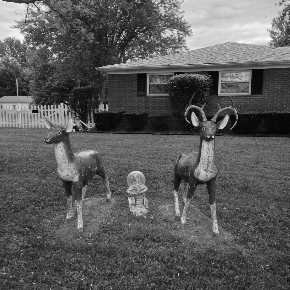 Natural Setting, Adams Residence, 2015